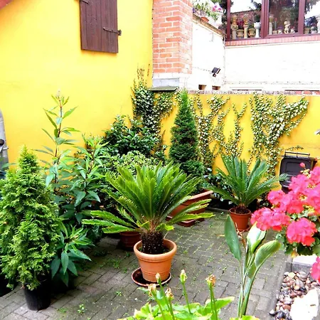 Ferienhaus تيتيرو