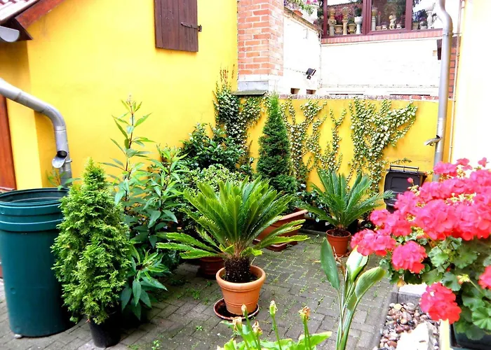 Ferienhaus تيتيرو